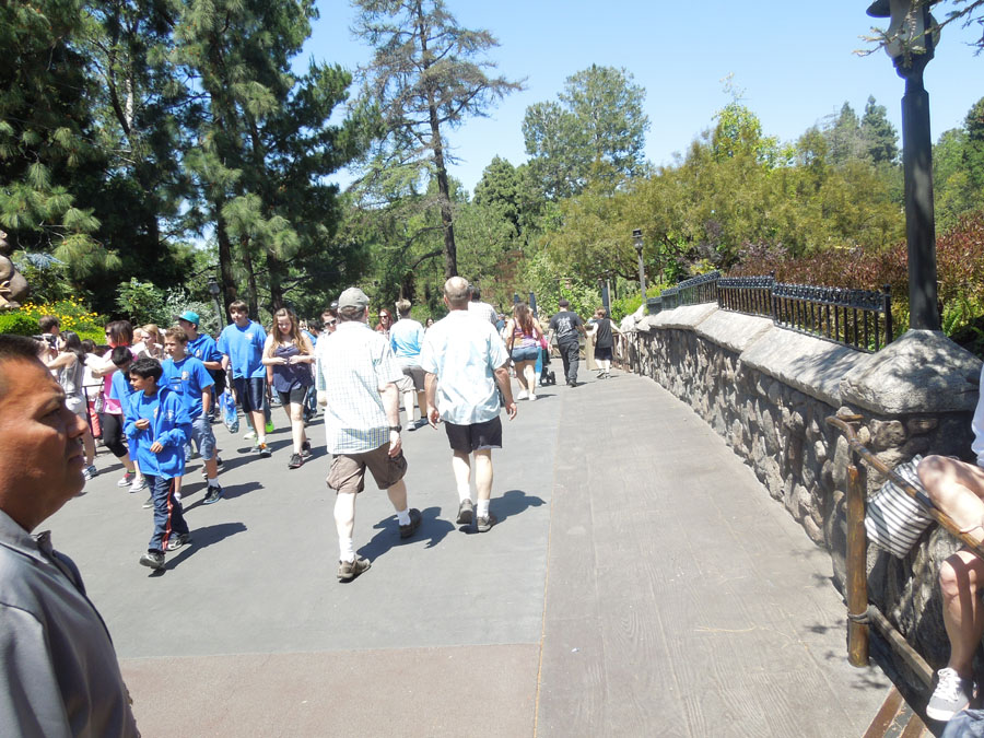 Disneyland Critter Country Riverside Picture